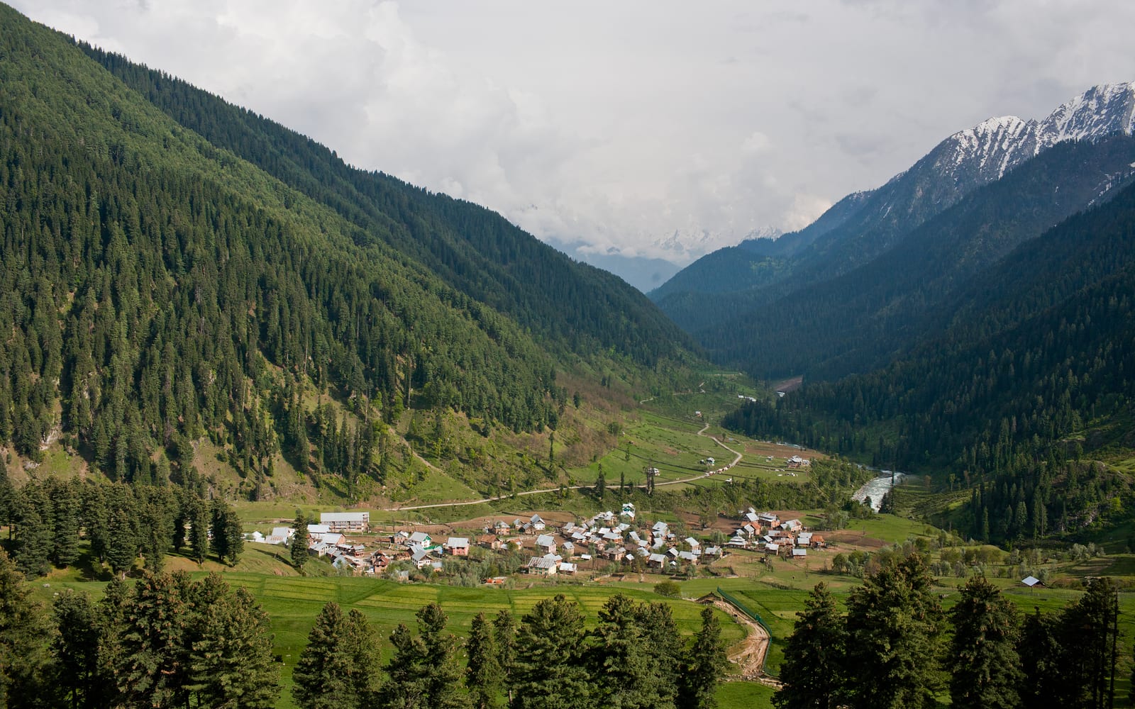 Aru village beside a river in a forested Himalayan valley