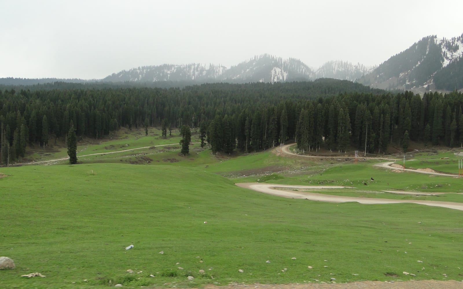 Doodhpathri meadow with winding roads, pine forest, and snowy hills